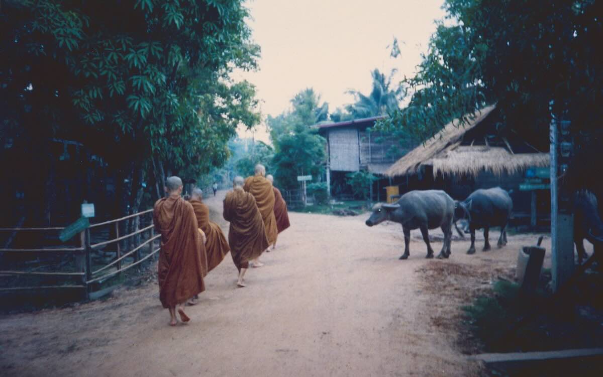 Thailandia - i monaci si recano nei villaggi per la questua giornaliera