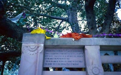 Sotto l’Albero della Bodhi: il luogo dove il mondo si svegliò